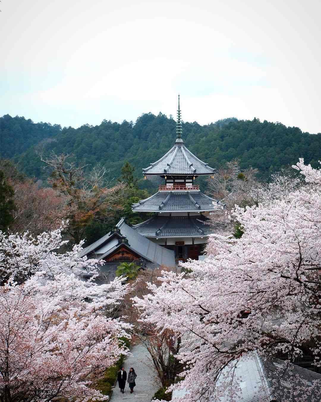 núi yoshino