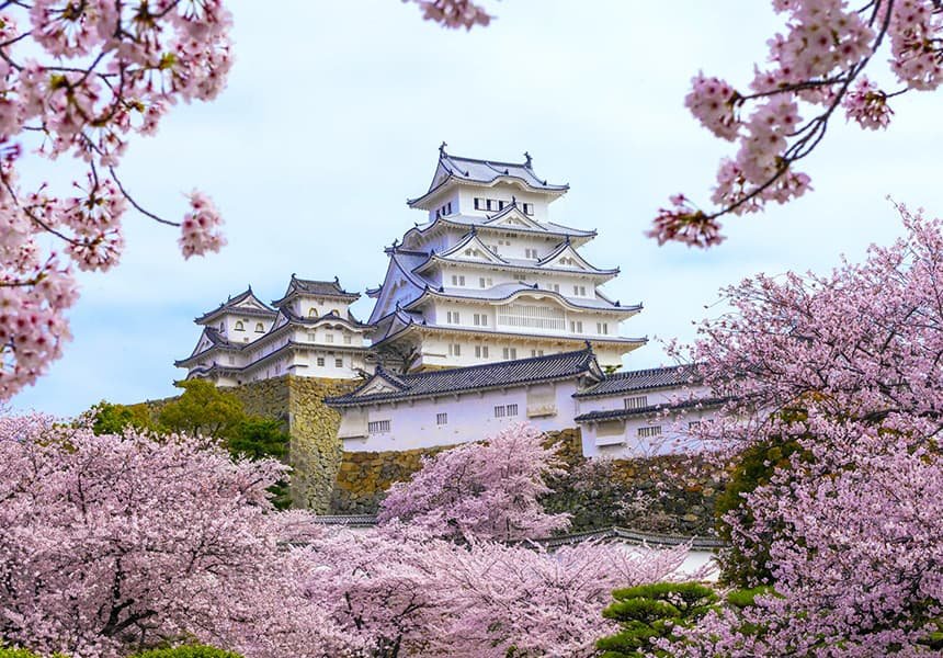 lâu đài osaka nhật bản mùa hoa anh đào